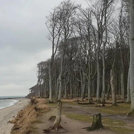 Apartmán Am Gespensterwald