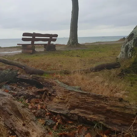 Am Gespensterwald Ostseebad Nienhagen