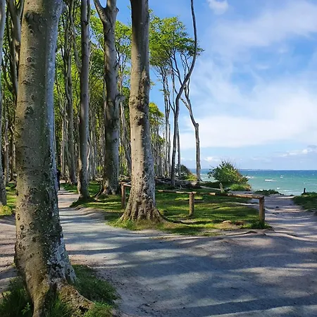 Am Gespensterwald Ostseebad Nienhagen